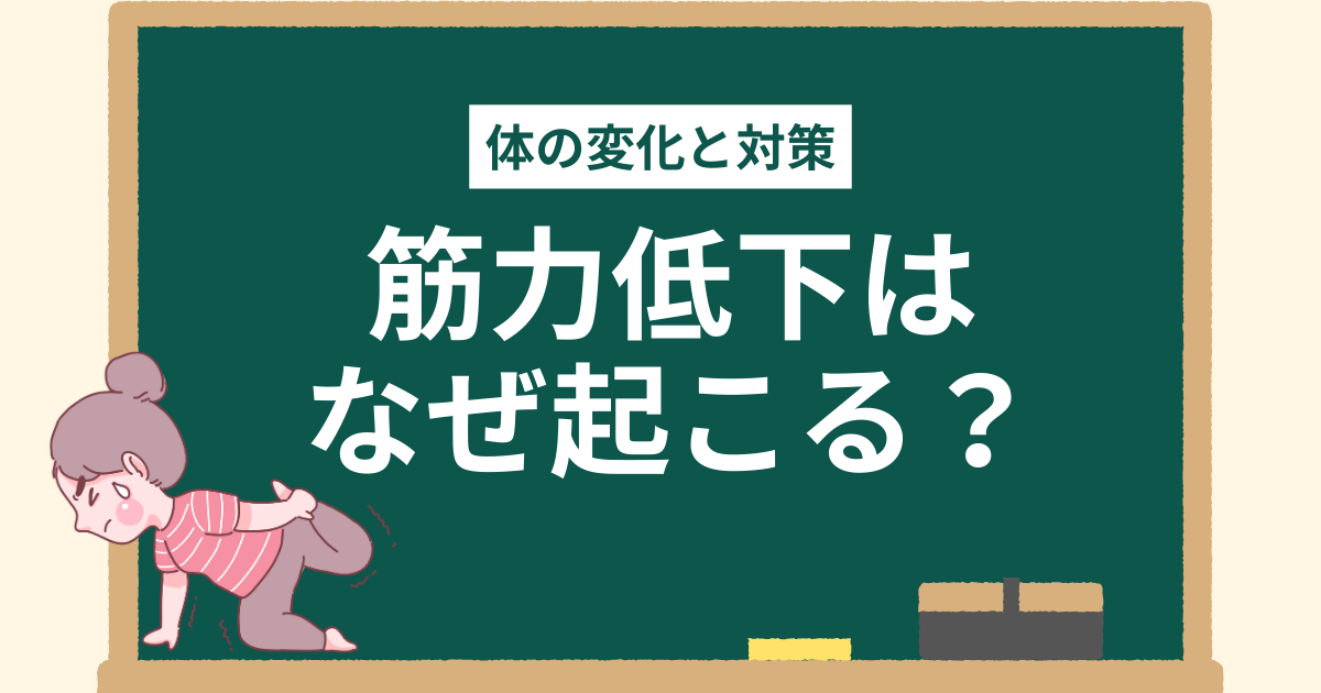 体の変化と対策について、筋力低下がなぜ起こるのかの記事のイラスト